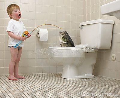 diverse adunate 2 - 562244101514989066451861959897000n.jpg